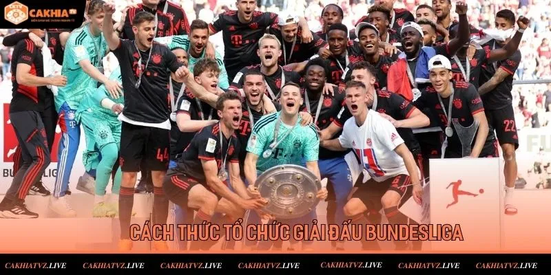 Cách thức tổ chức của các giải đấu VĐQG Đức