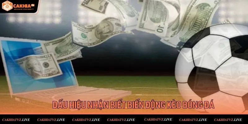 Kèo cược Tài Xỉu được săn đón rầm rộ tại trang tin tức Cakhiatv